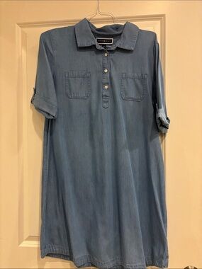 Size L denim shirtdress